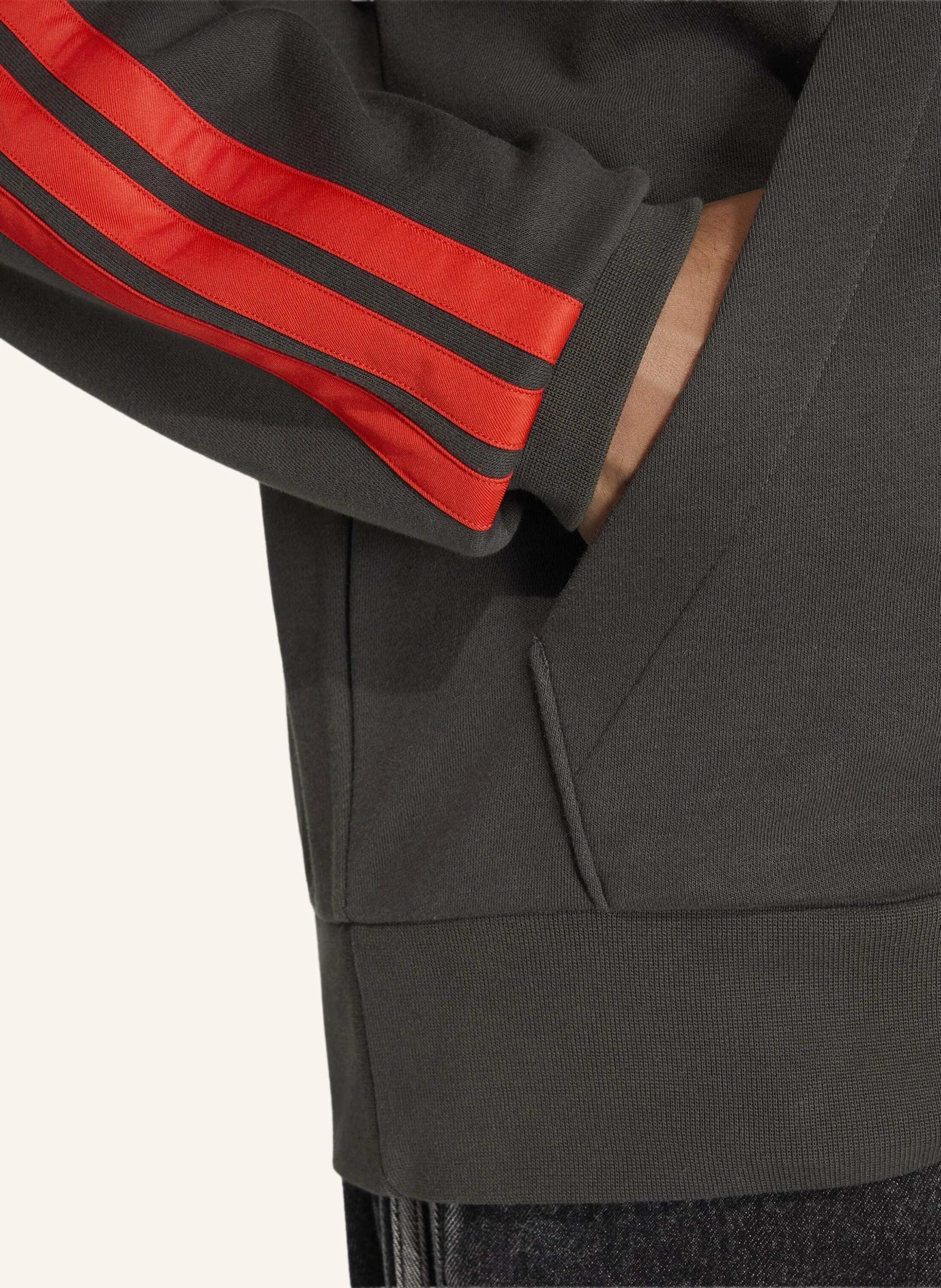 Audi F1 Adidas Hoodie