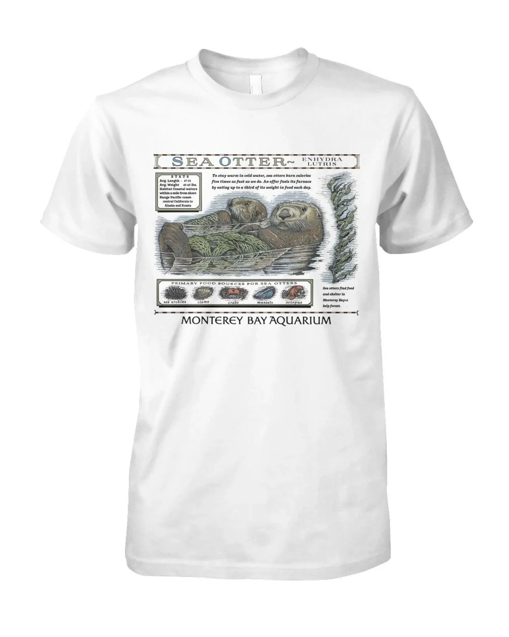 Taylor Swift Monterey Bay Aquarium Shirt