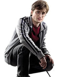
Harry Potter and the Prisoner of Azkaban Track Jacket