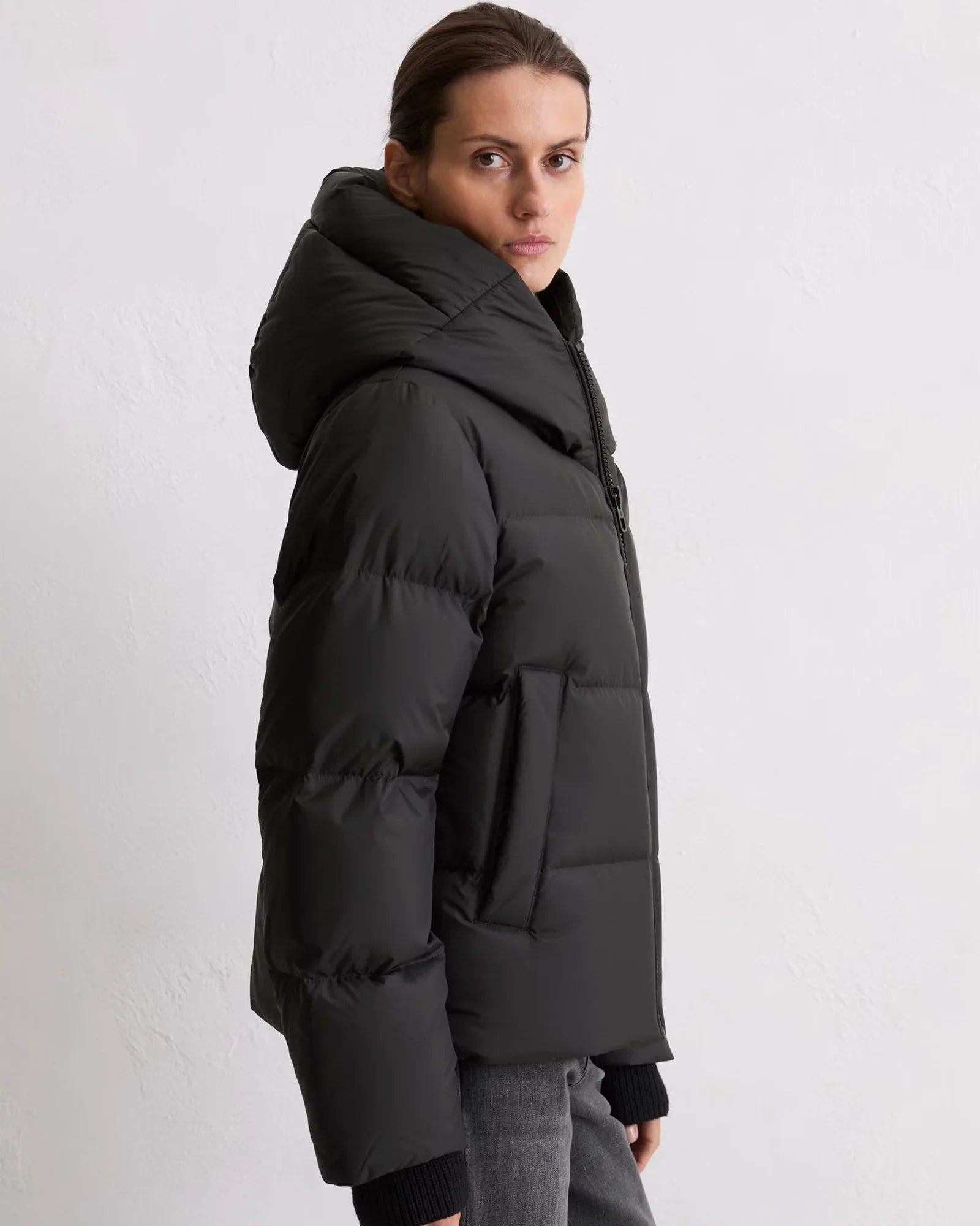 Marco Polo Jacket