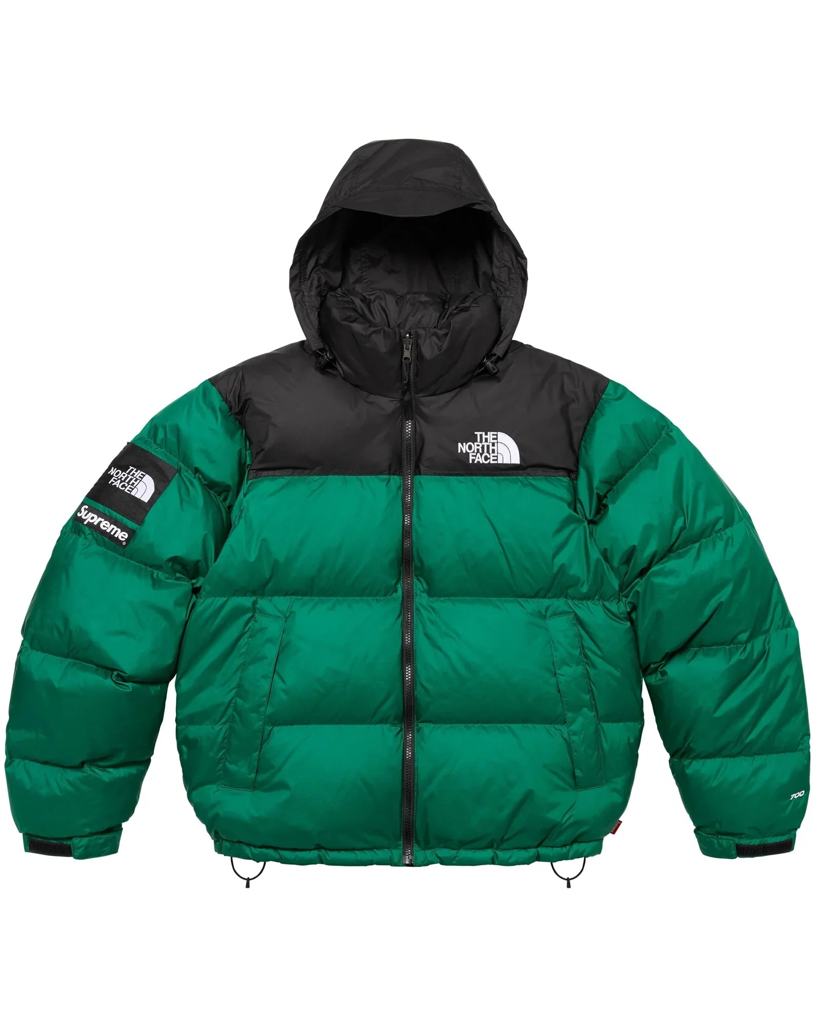 Supreme North Face Jacket Buy