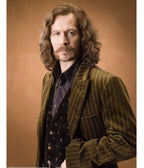 
Gary Oldman Harry Potter and The Deathly Hallows Wool Coat